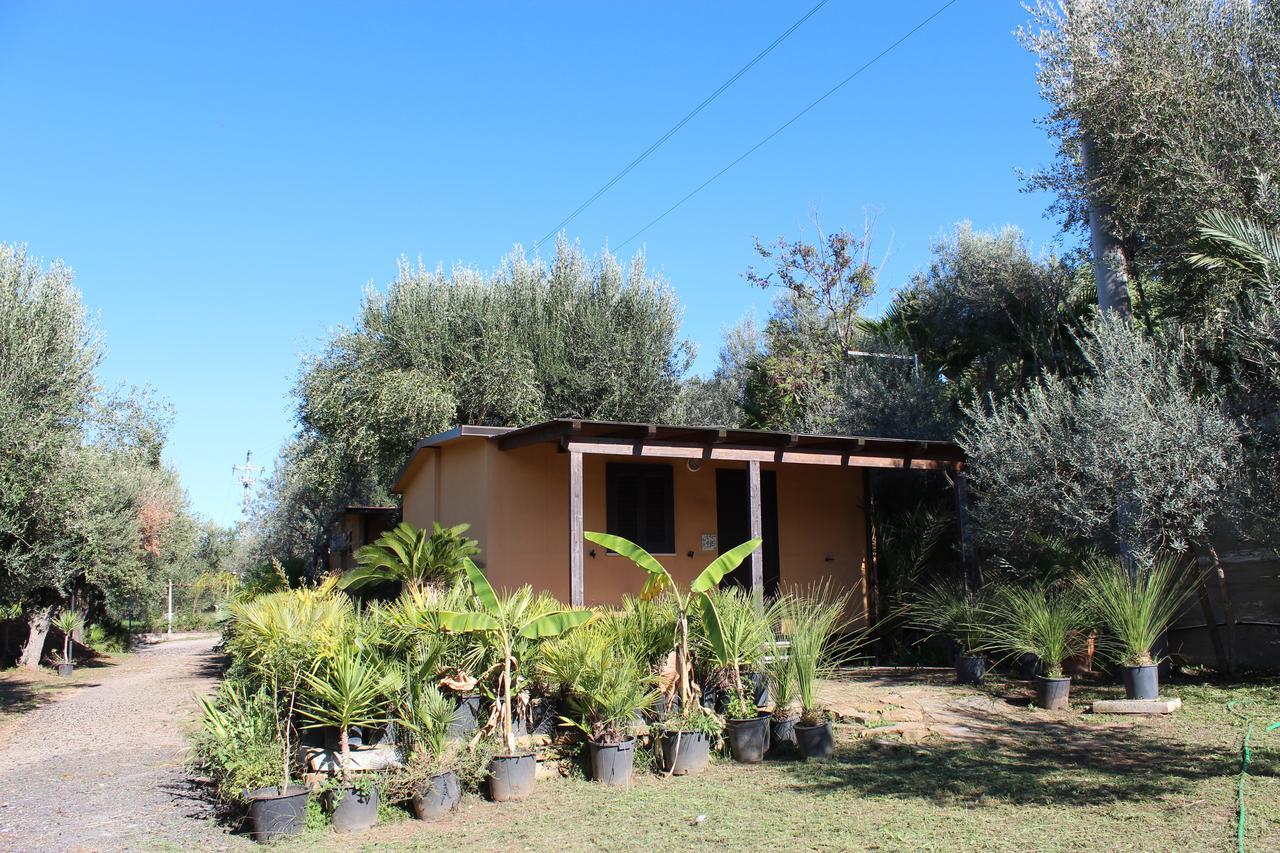 Residence Serrone Santa Maria di Castellabate Exterior photo